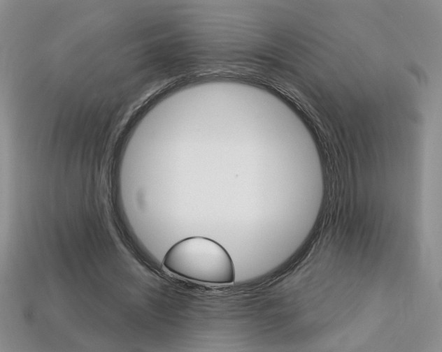 X0000113860444200909241029