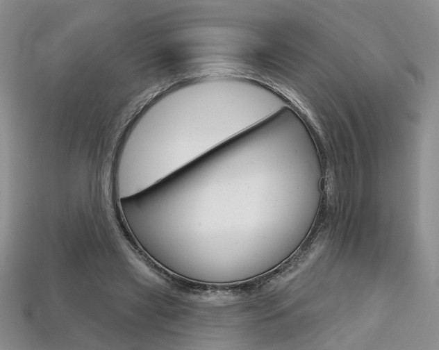 X0000113860445200909241029