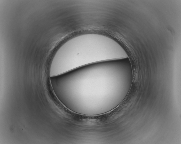X0000113860448200909241029
