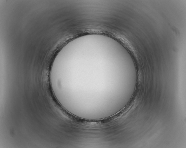 X0000113860449200909241029