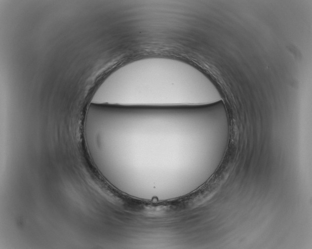 X0000113860450200909241029