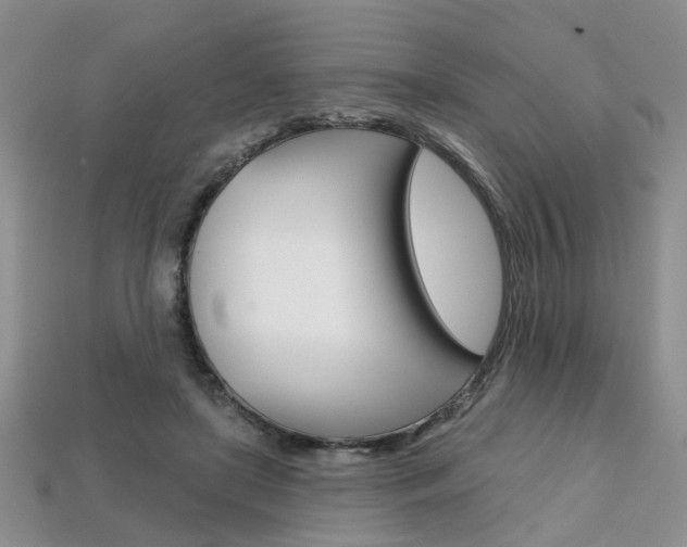 X0000113860451200909241029