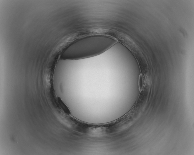 X0000113860452200909241029