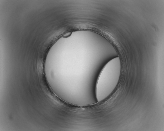 X0000113860453200909241029