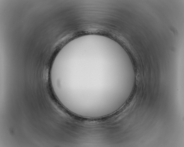 X0000113860454200909241029