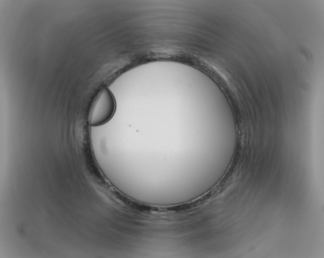 X0000113860455200909241029