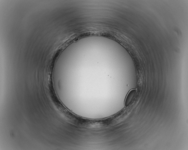 X0000113860456200909241029