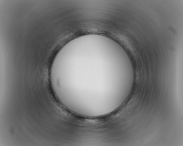 X0000113860457200909241029