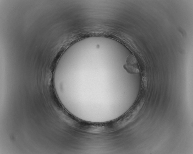 X0000113860458200909241029