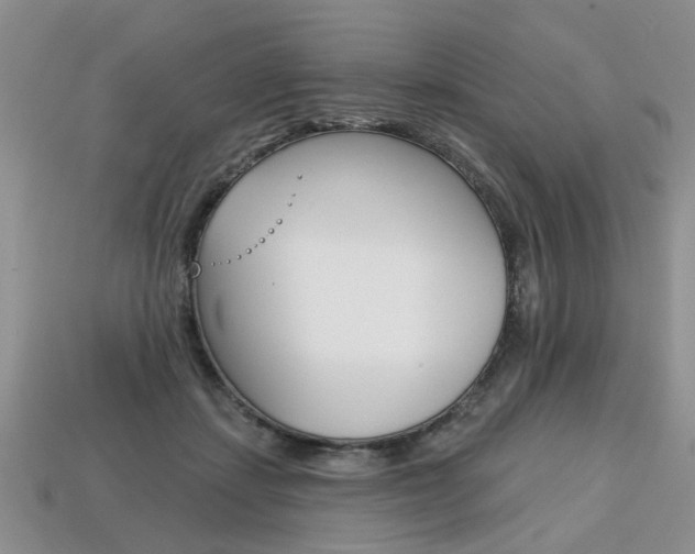 X0000113860459200909241029