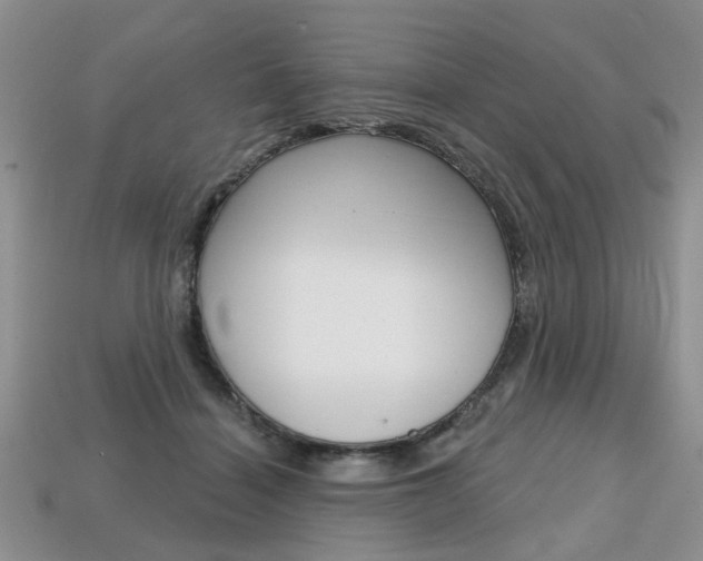 X0000113860460200909241029