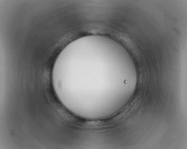 X0000113860461200909241029