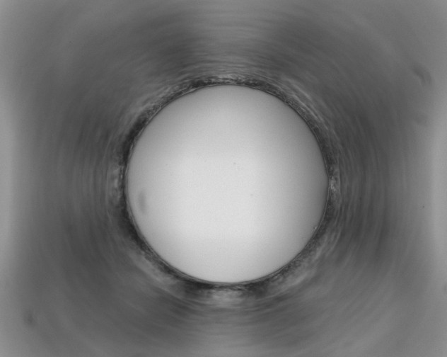 X0000113860462200909241029
