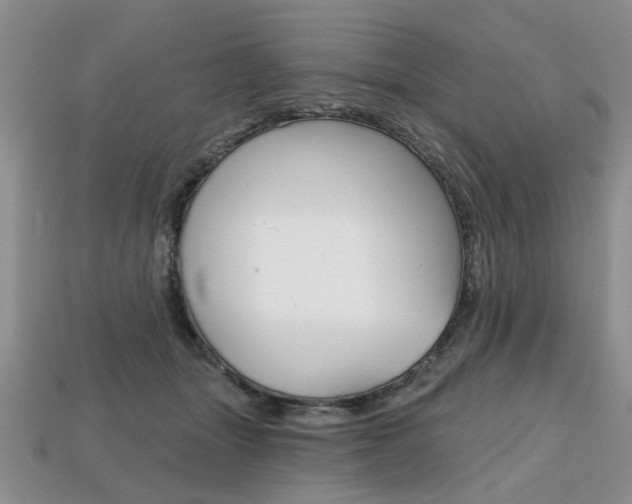 X0000113860463200909241029