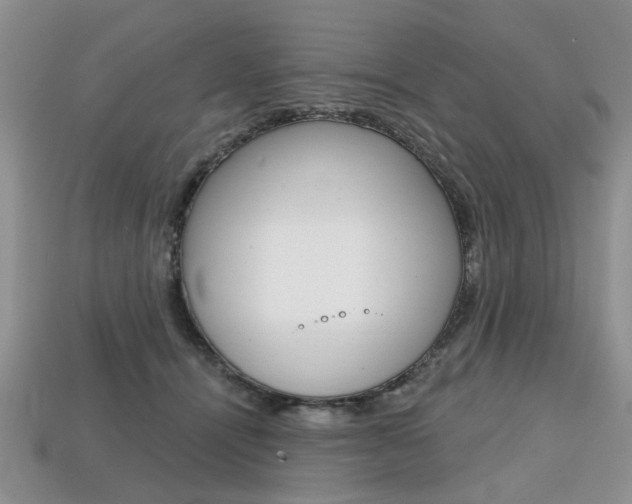 X0000113860464200909241029