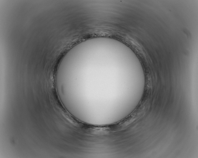 X0000113860465200909241029
