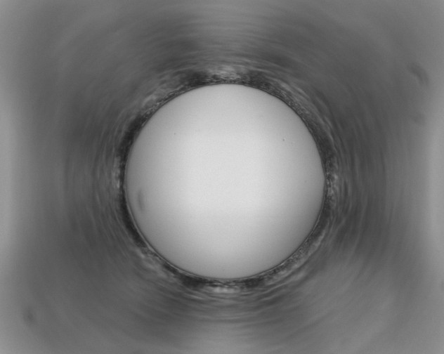X0000113860466200909241029