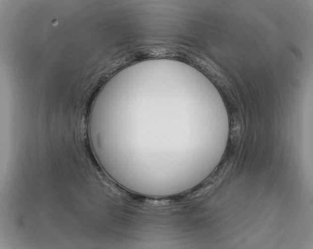 X0000113860469200909241029