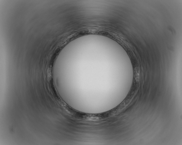 X0000113860471200909241029