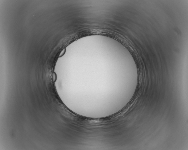 X0000113860473200909241029