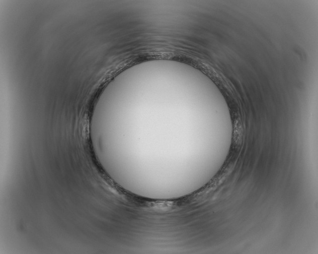 X0000113860474200909241029