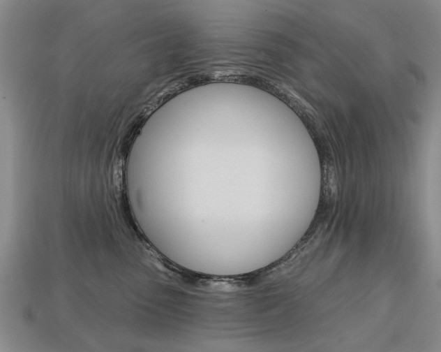 X0000113860475200909241029