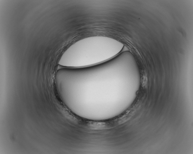 X0000113860476200909241029