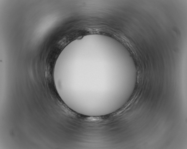 X0000113860477200909241029