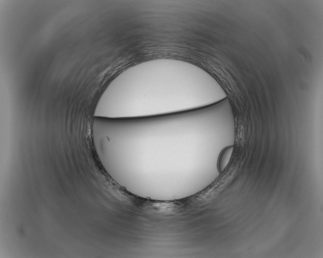 X0000113860478200909241029