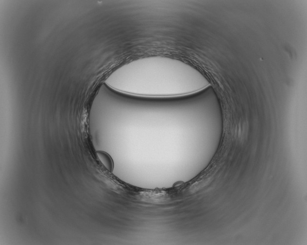 X0000113860480200909241029