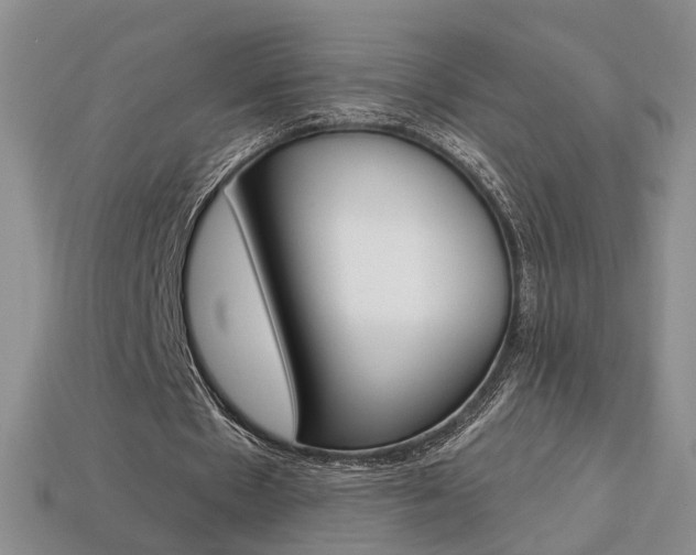 X0000113860481200909241029