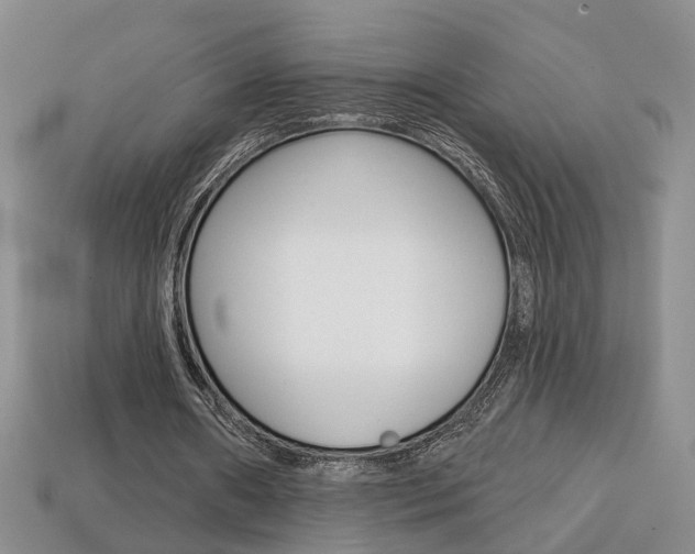 X0000113860482200909241029