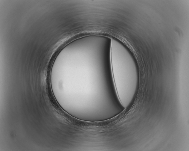 X0000113860483200909241029