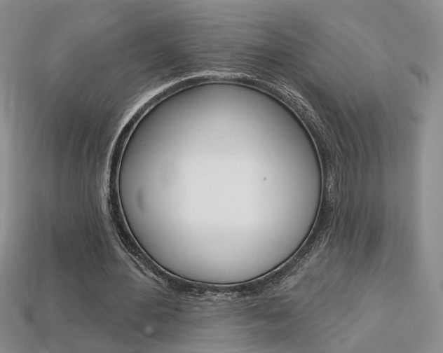 X0000113860484200909241029