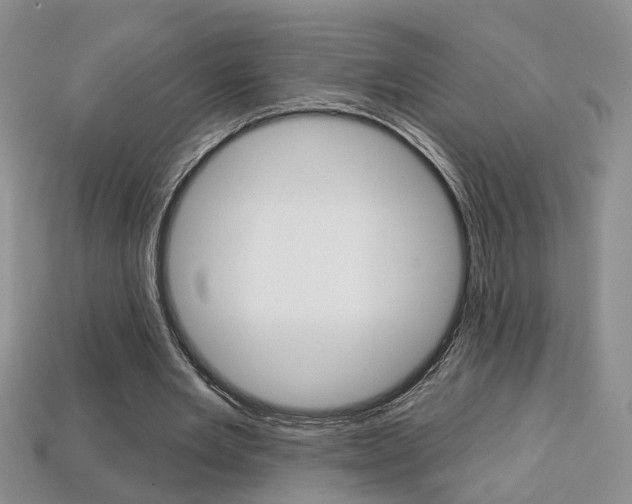 X0000113860485200909241029