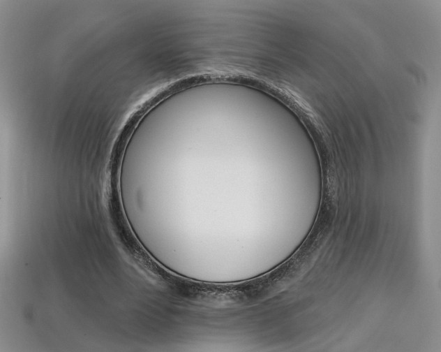 X0000113860488200909241028