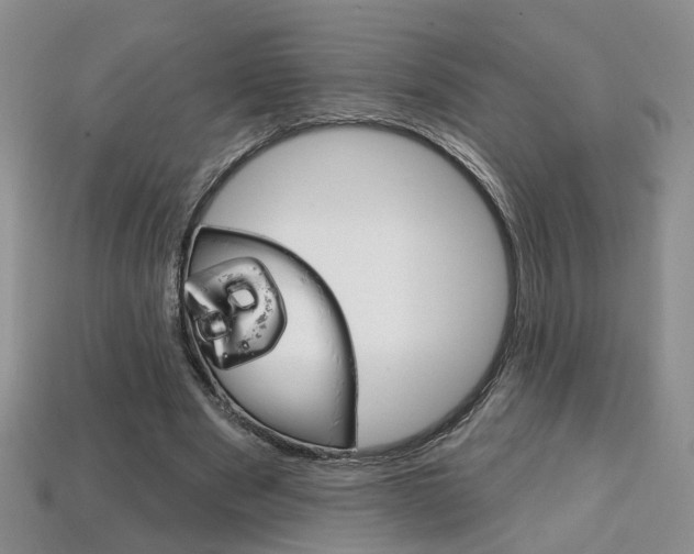 X0000113860489200909241028