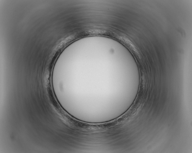 X0000113860490200909241028