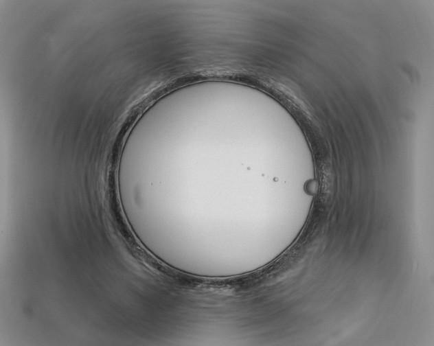 X0000113860491200909241028