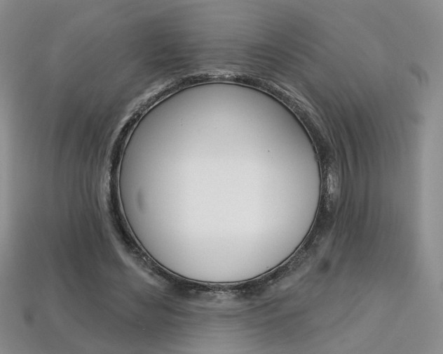 X0000113860492200909241028