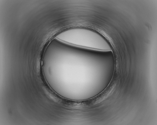 X0000113860493200909241028