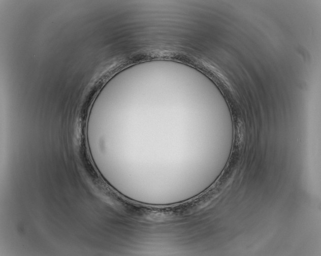 X0000113860494200909241028