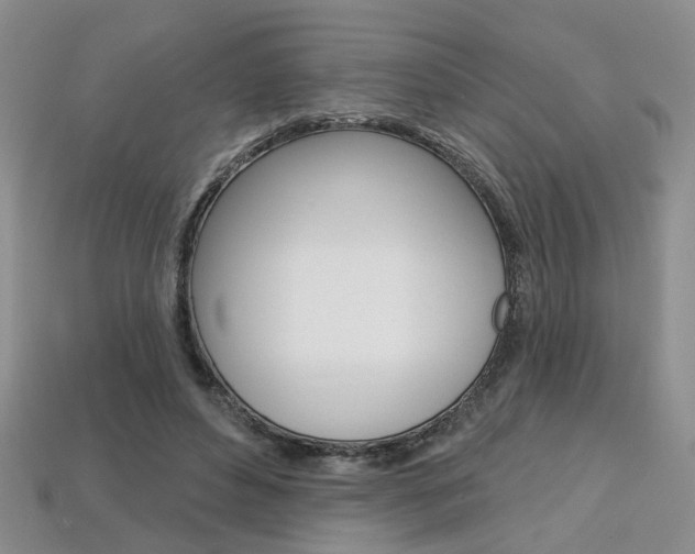 X0000113860496200909241028
