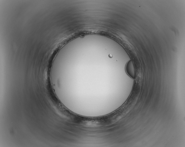 X0000113860500200909241028