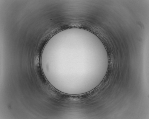 X0000113860502200909241028