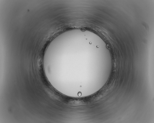 X0000113860503200909241028