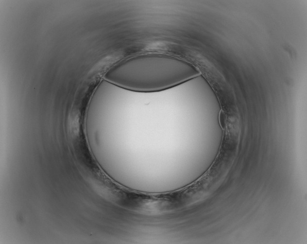 X0000113860504200909241028