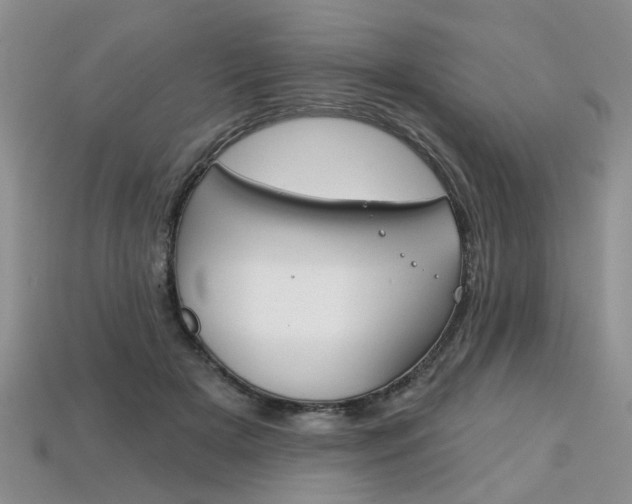 X0000113860505200909241028
