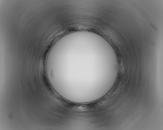 X0000113860506200909241028