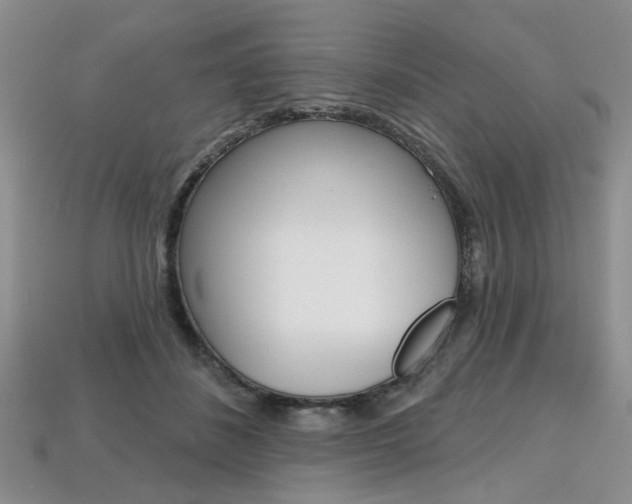 X0000113860508200909241028